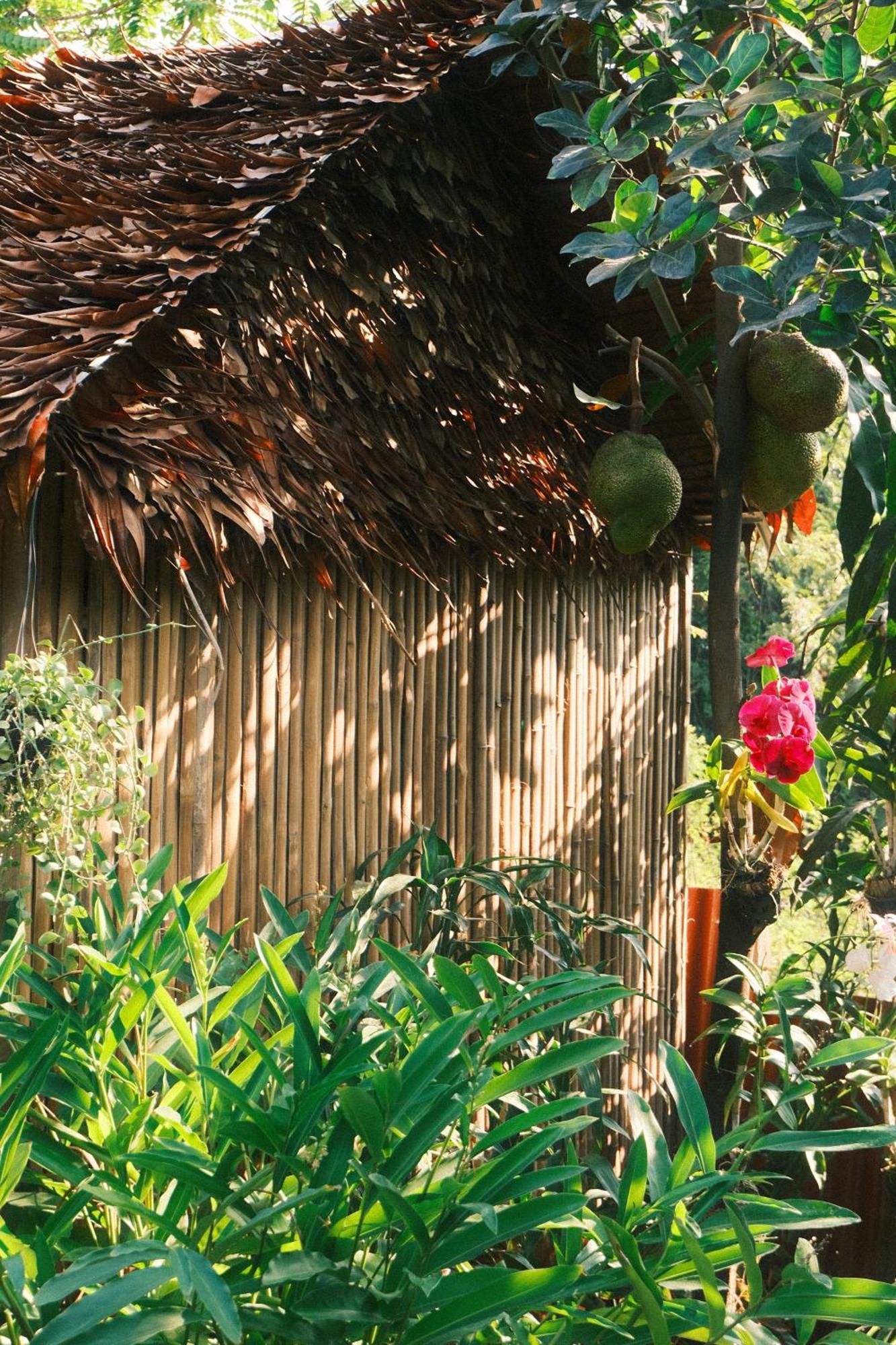 Siem Reap Homesteading II Ngoại thất bức ảnh