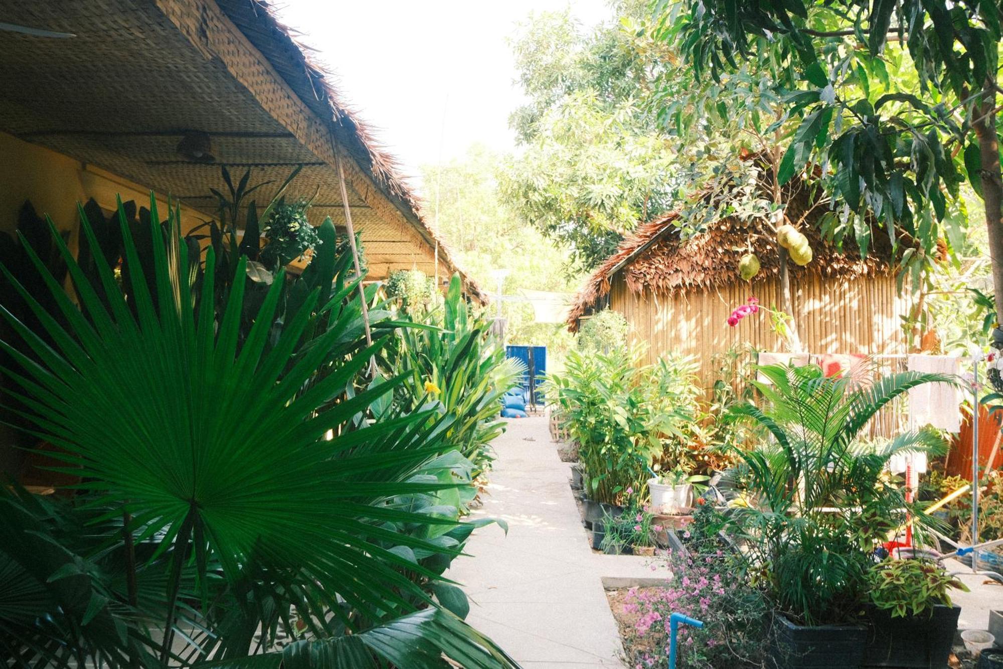 Siem Reap Homesteading II Ngoại thất bức ảnh