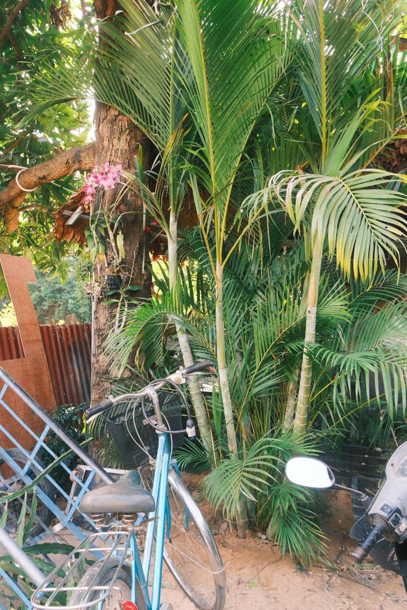 Siem Reap Homesteading II Ngoại thất bức ảnh